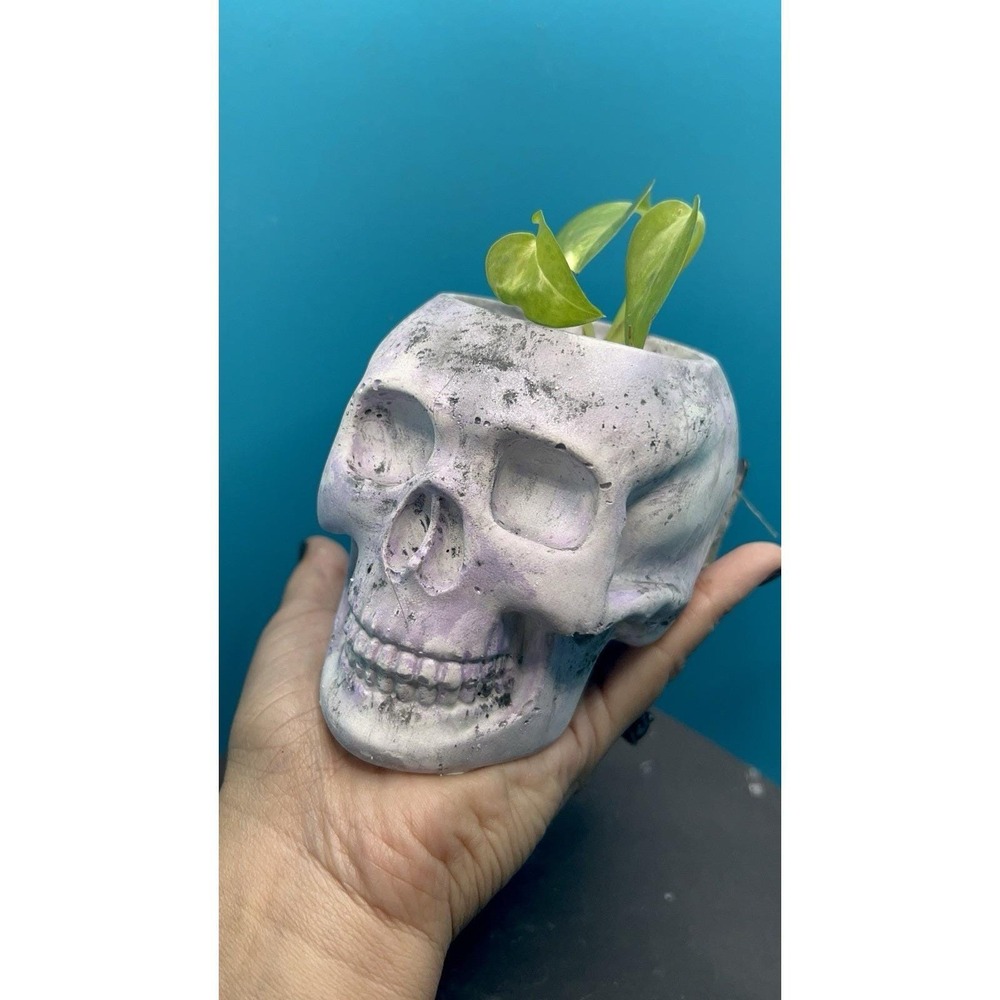 Skull Concrete Planter Lilac – Handmade Cement Succulent Plant Pot, Handmade - Picture 2 of 9